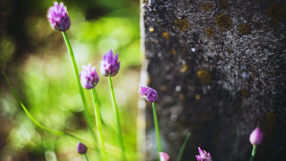 Pamięć, która trwa